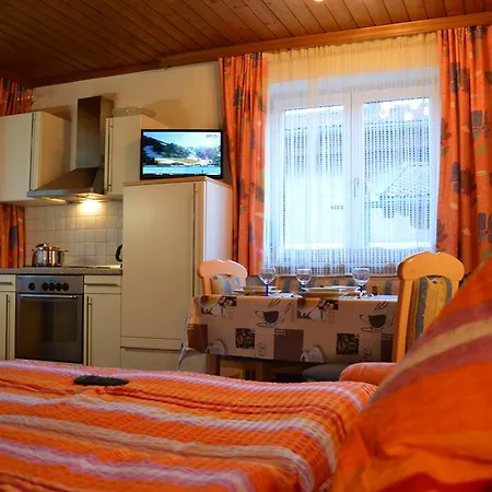 Apartmán Haus Panzl