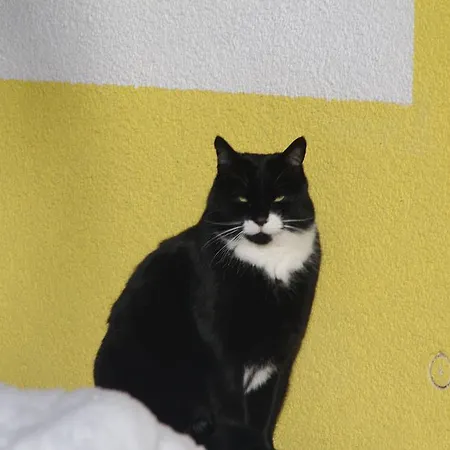 Apartmán Haus Panzl *