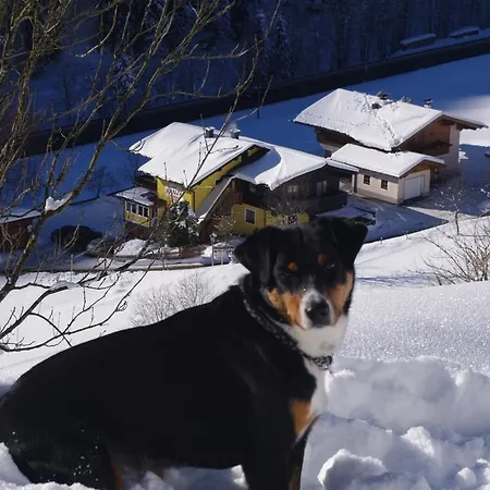 Apartment Haus Panzl *