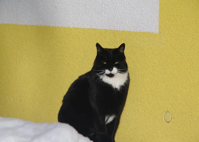 Appartamento Haus Panzl *