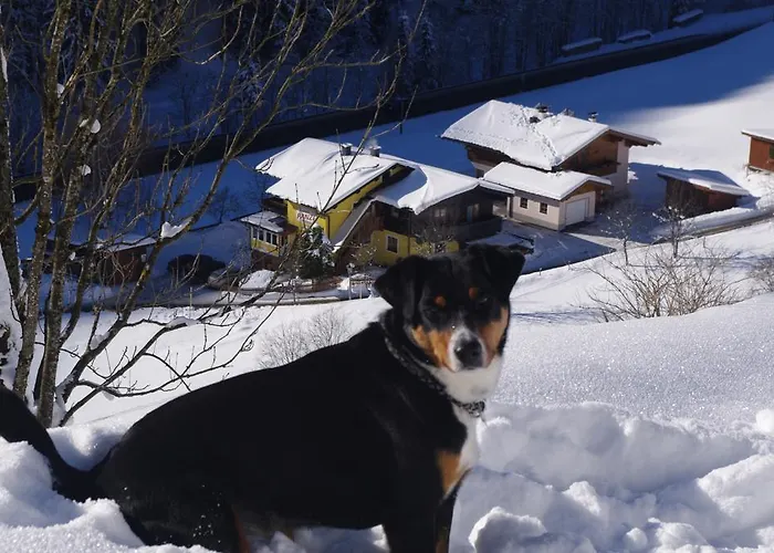 Appartamento Haus Panzl *